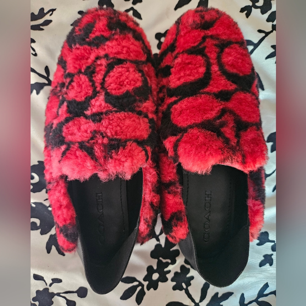 Coach loafers